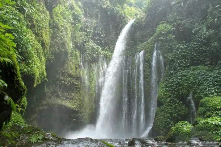 Tiu Kelep Homestay Senaru Exterior photo