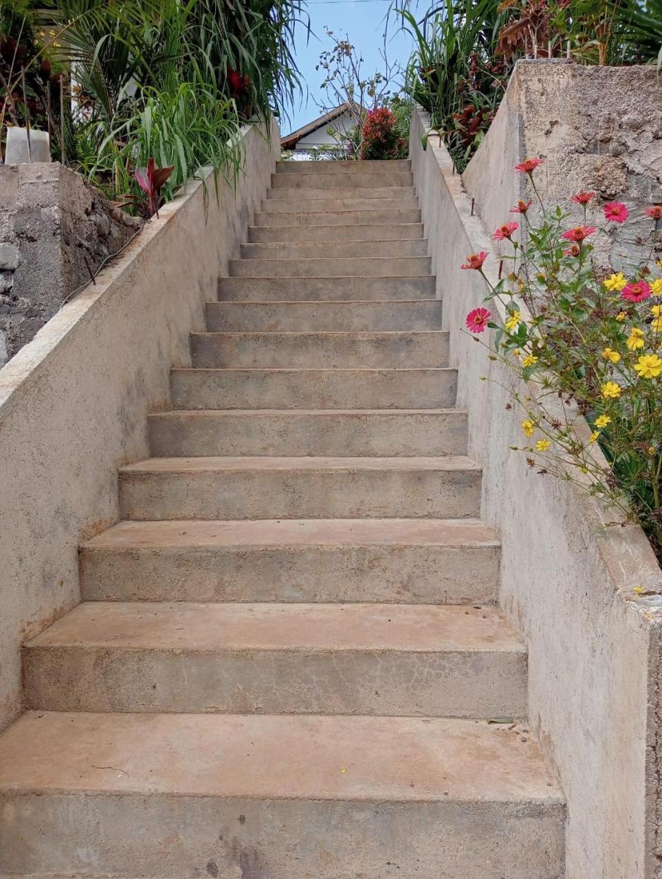 Tiu Kelep Homestay Senaru Exterior photo